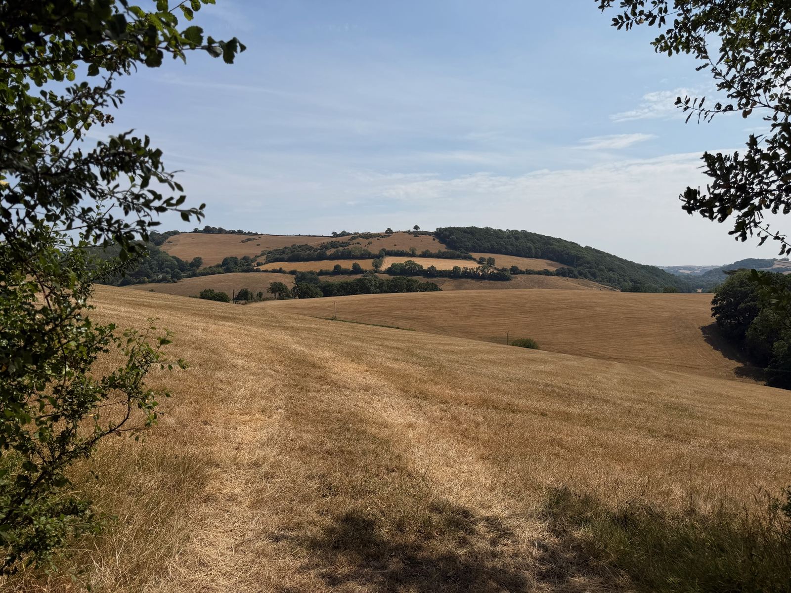 A week of retreat at Sheldon