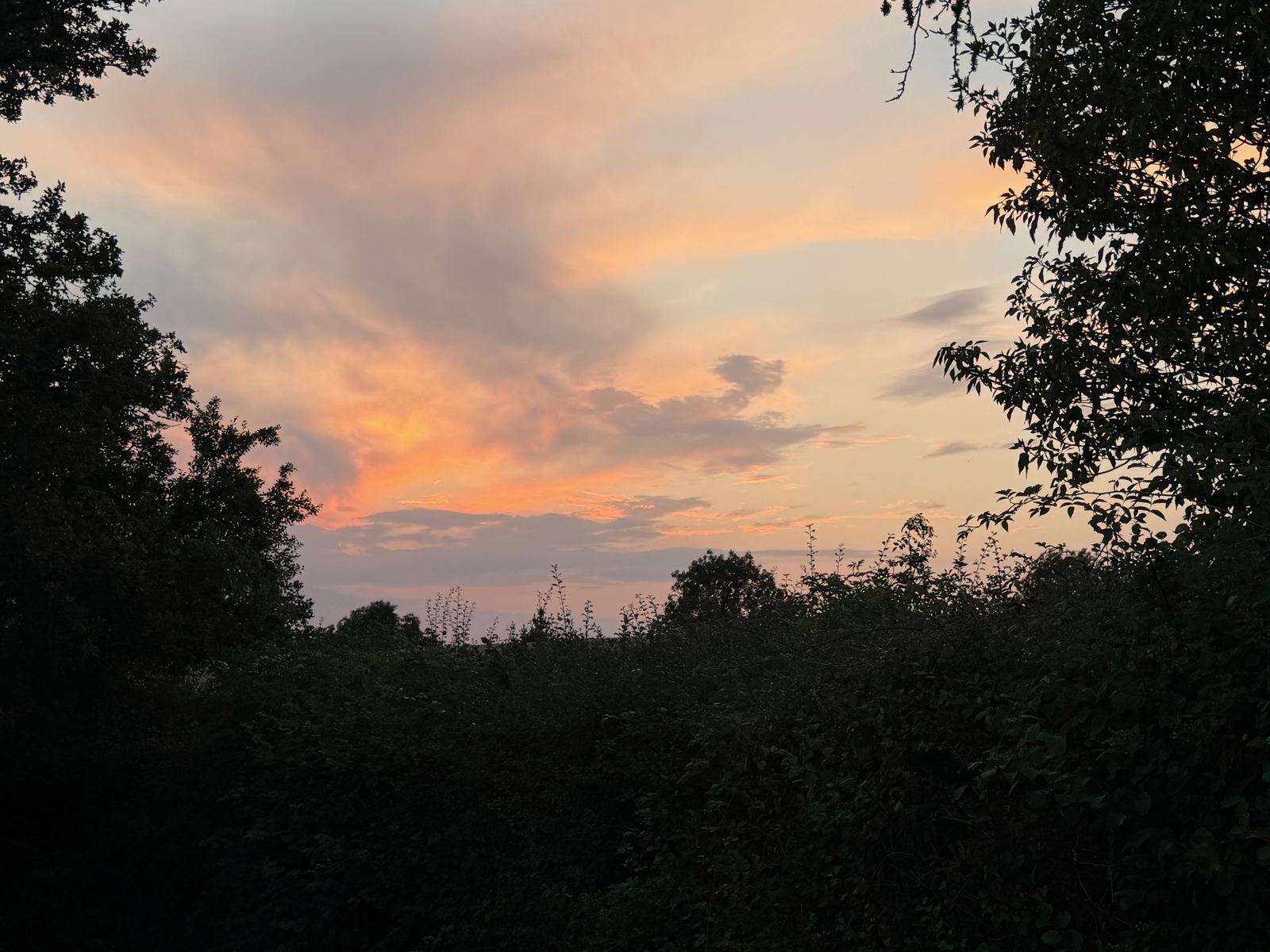 A week of retreat at Sheldon